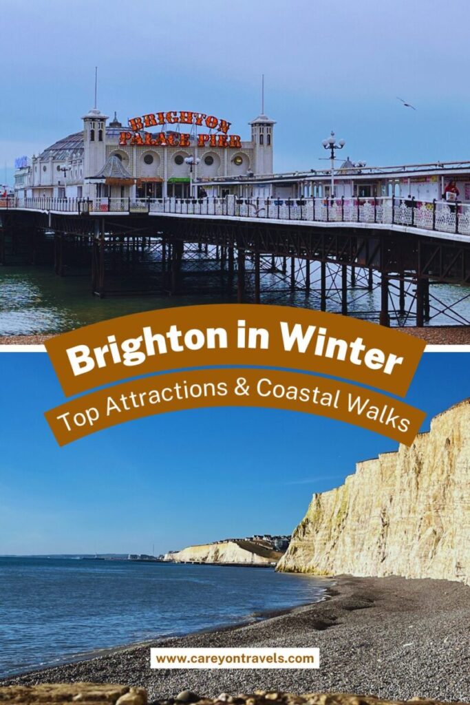 Brighton in winter pin2