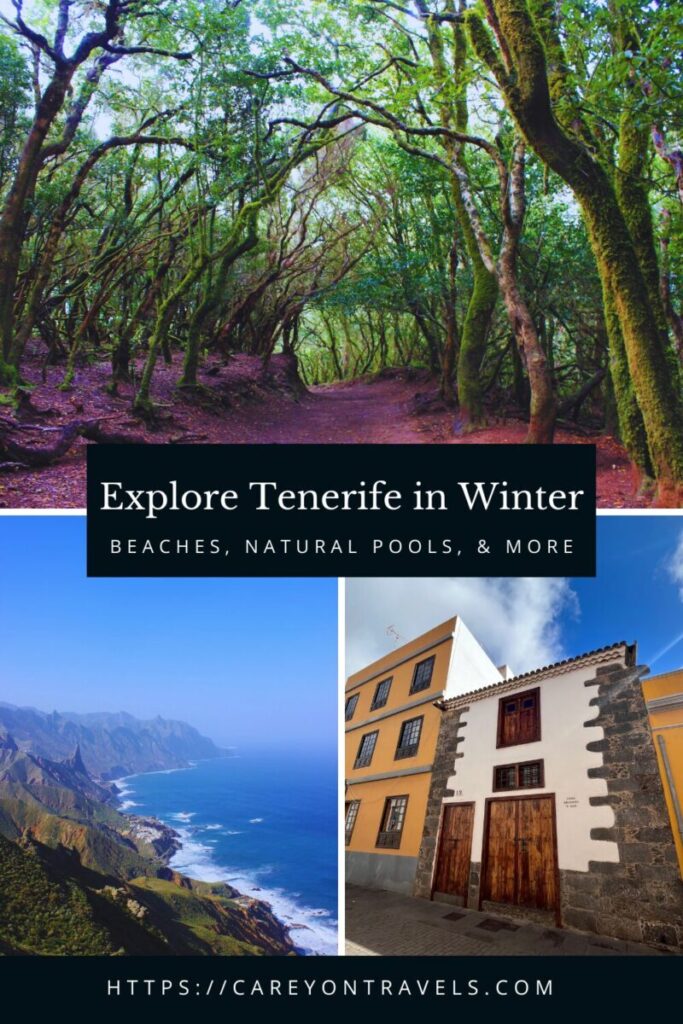 Winter in Tenerife pin2