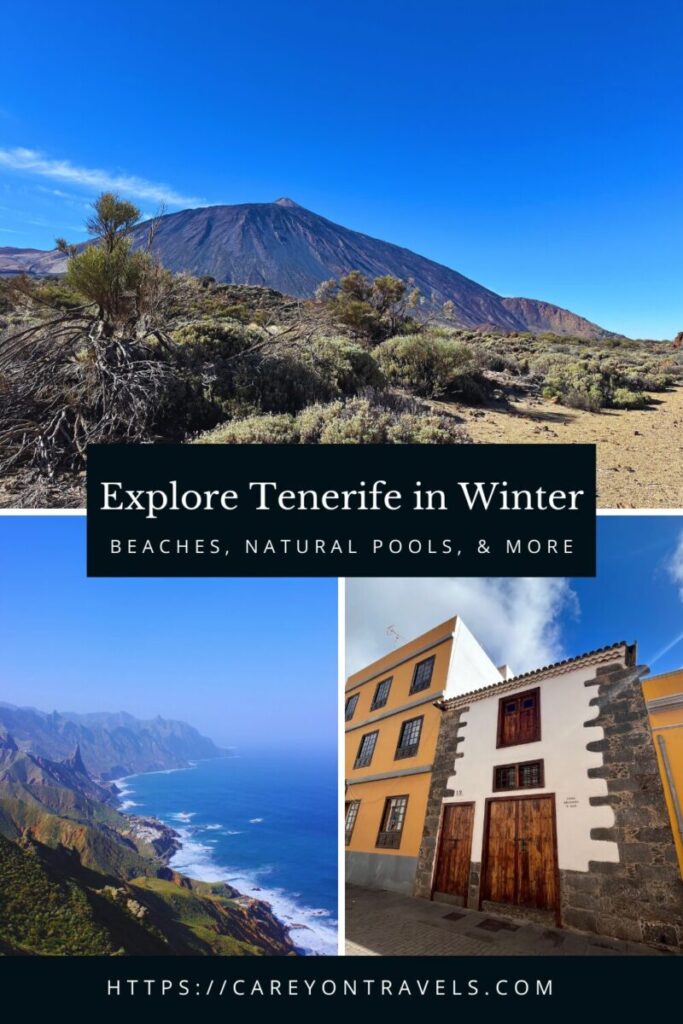 winter in Tenerife pin3