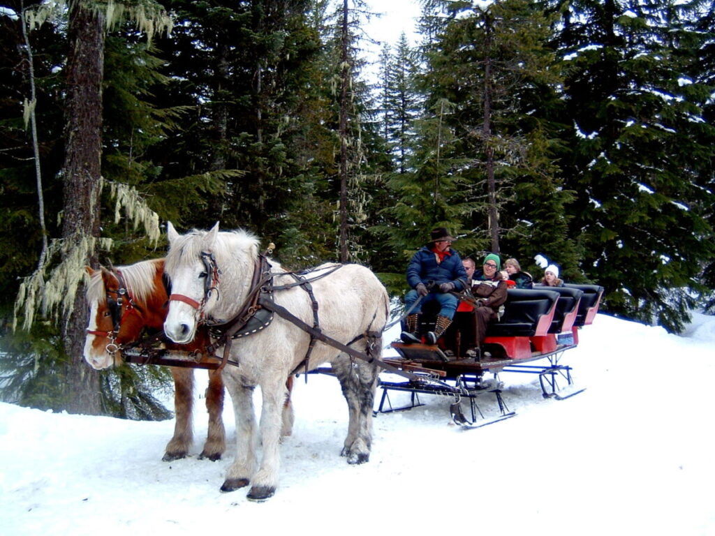 Sleigh ride, photo credit Jodie Wilson on Flickr