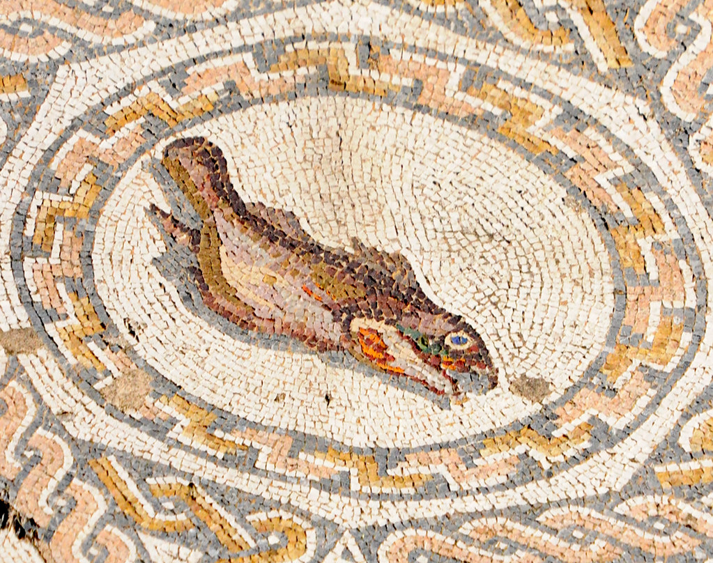 Fish mosaic from the Casa del Anfiteatro in Mérida, photo credit Olga Díez on Flickr