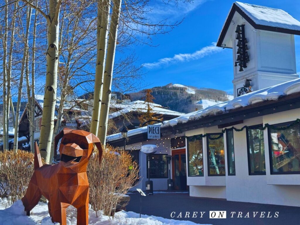 Dog status in Vail Village in Winter