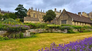 Early Morning at Christchurch in Summer