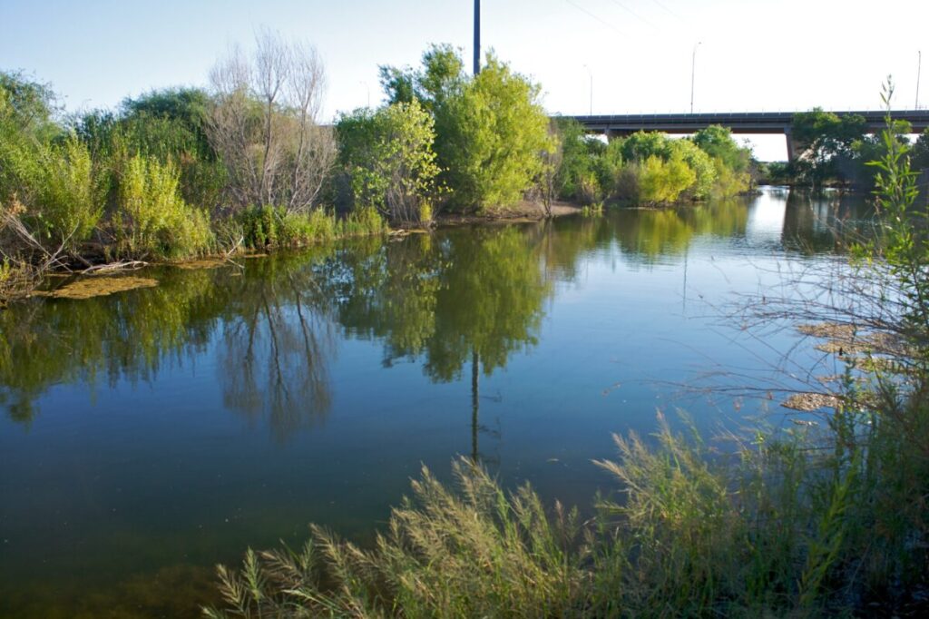 Rio Salado Habitat Restoration Project, photo credit Derrick Bostrom on Flickr