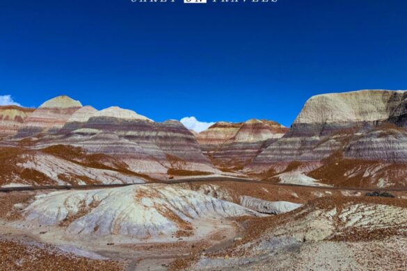 Blue Mesa Trail Petrified Forest National Park (from the trail)