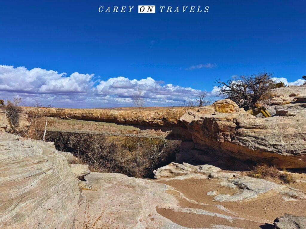 Agate Bridge Petrified Forest National Park