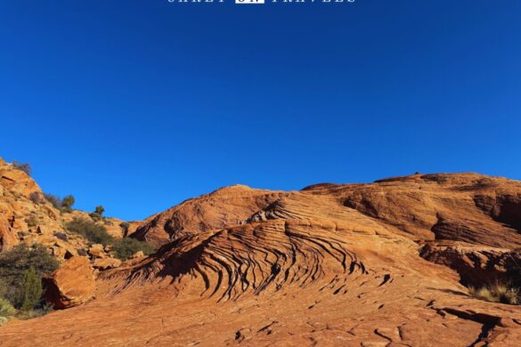 Snow Canyon State Park Petrified Sand Dunes