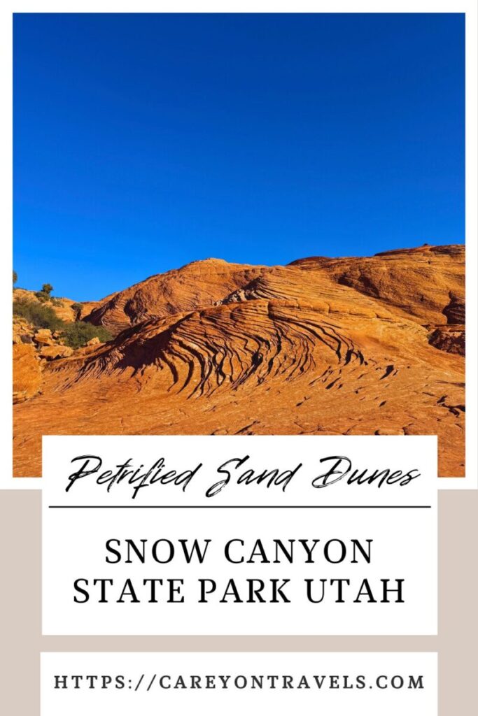 Snow Canyon pin1