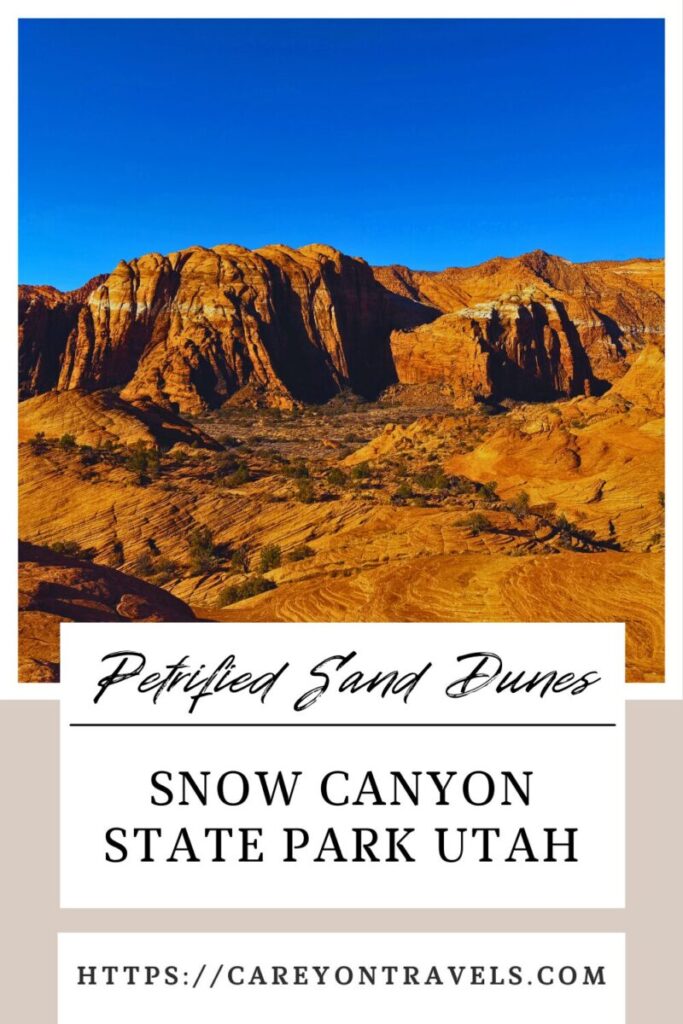 Snow Canyon pin2