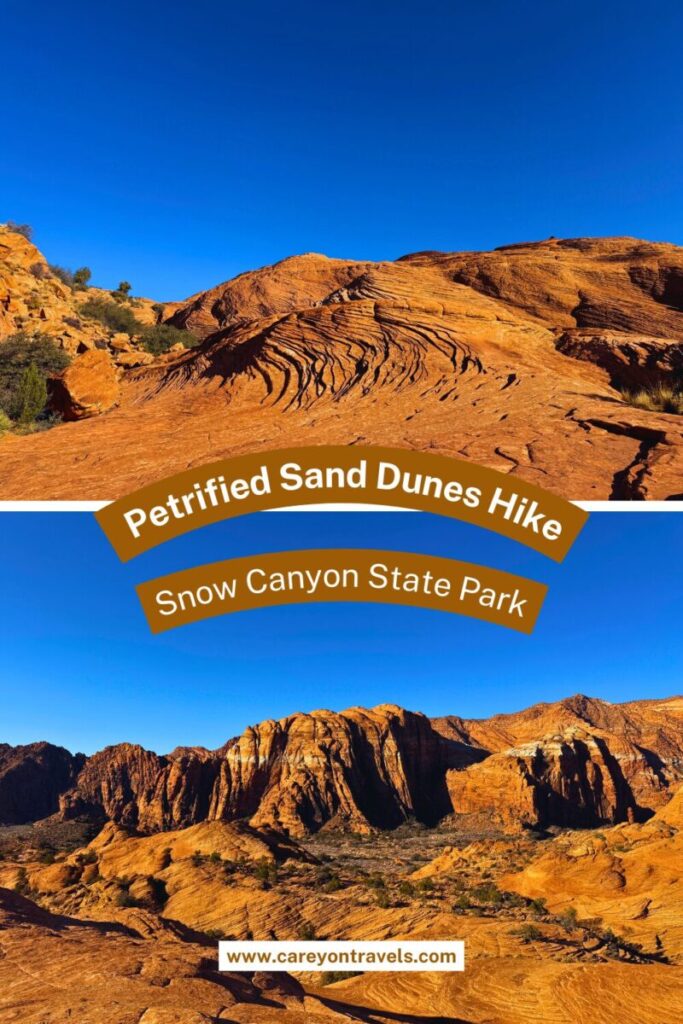 Snow Canyon pin3