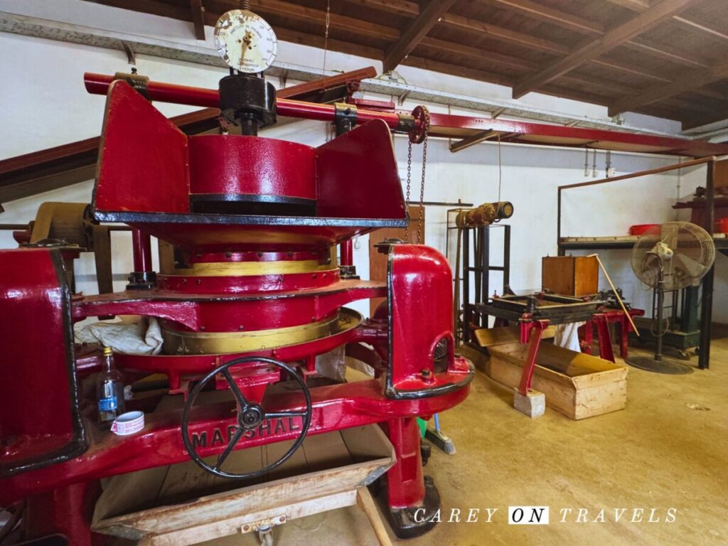 Gorreana Tea Plantation Tour