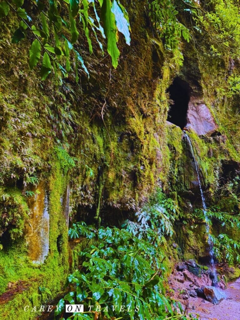 Janela do Inferno Easy Hike São Miguel