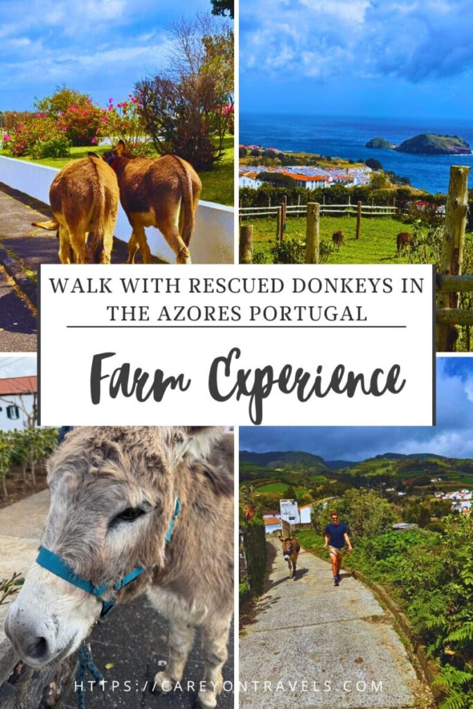 Portugal Farm Experience Donkey Hike pin3