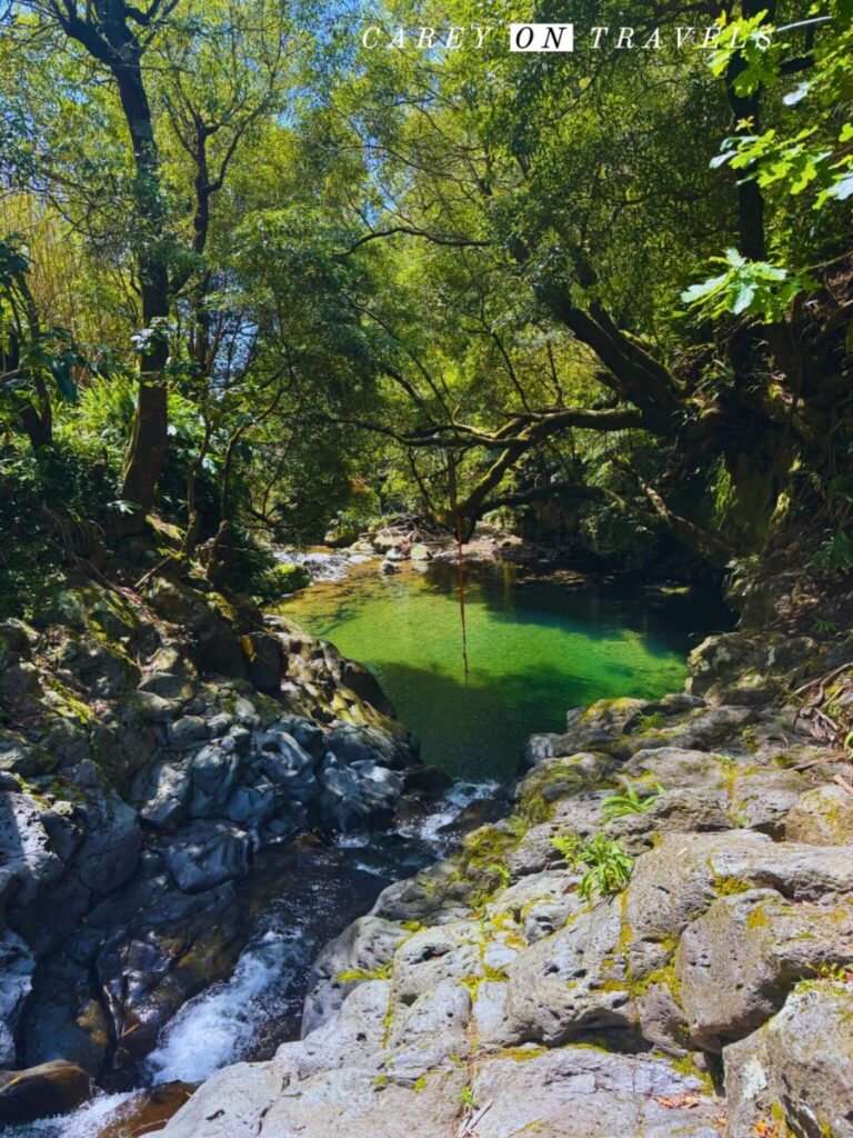 Quatro Fabricas da Luz Pool São Miguel