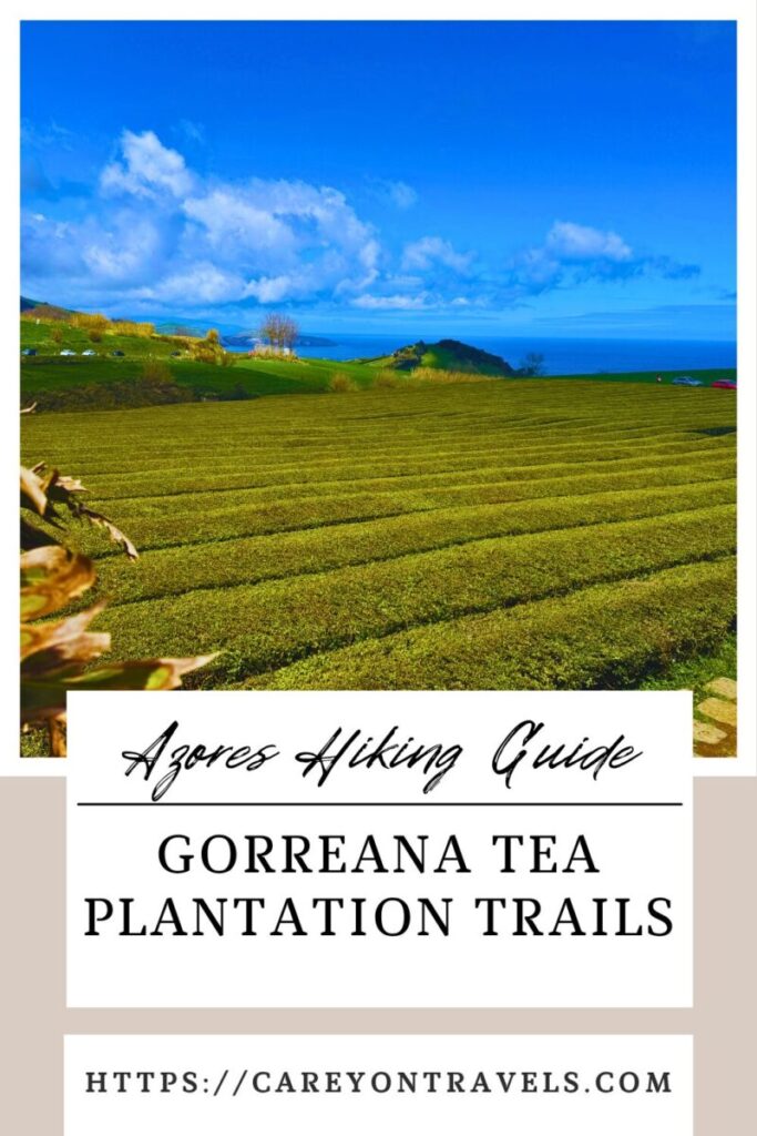 Gorreana Tea Plantation Trail pin8