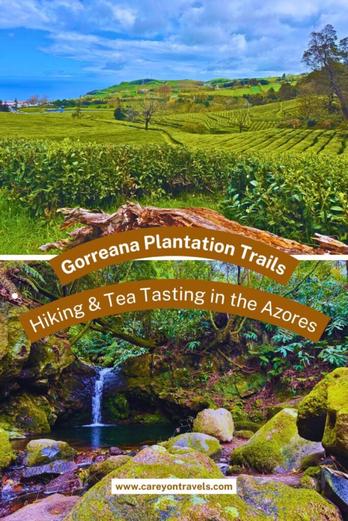 Gorreana Tea Plantation Trail pin2