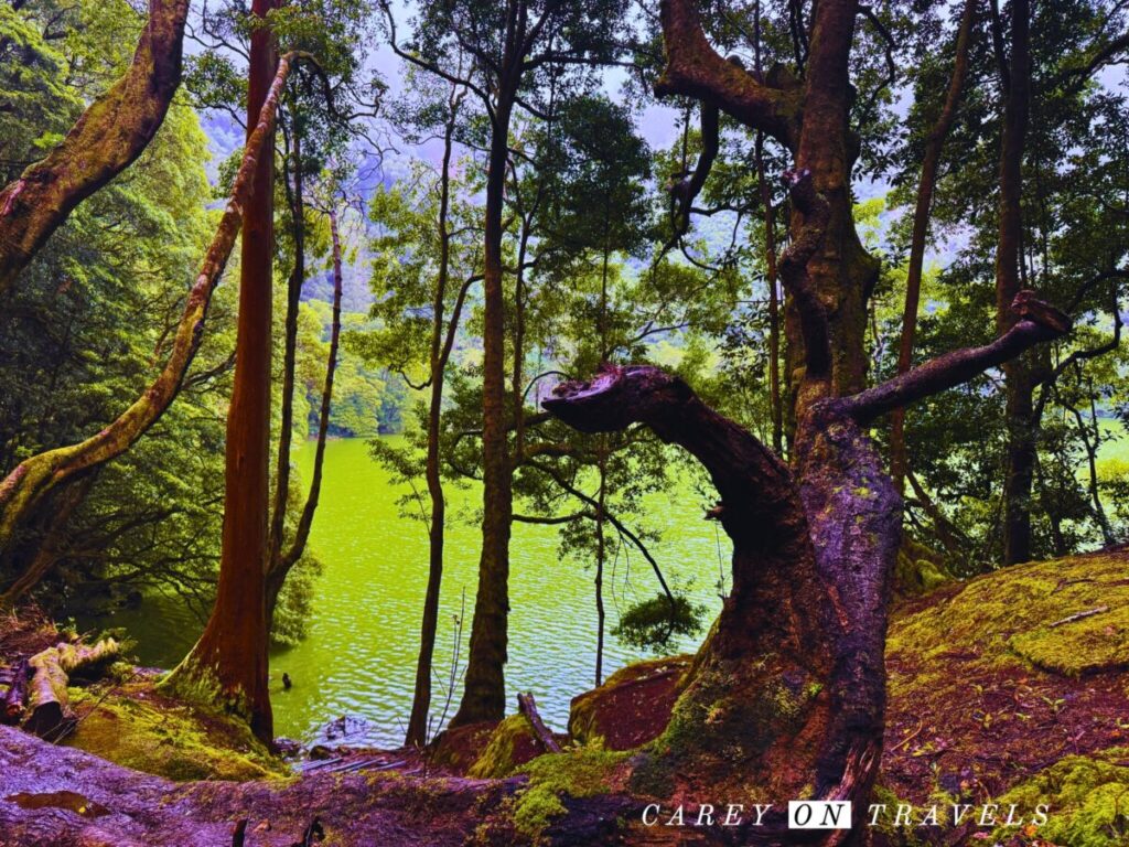 Lagoa do Congro Easy Hike São Miguel