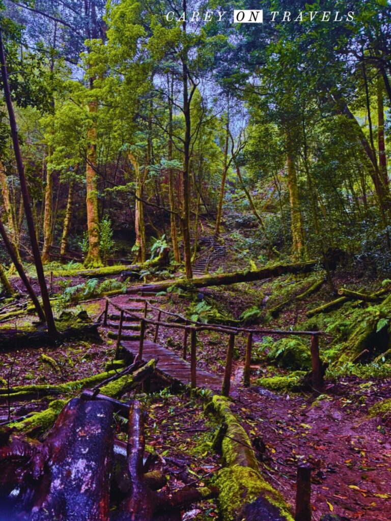 Lagoa do Congro Easy Hike São Miguel