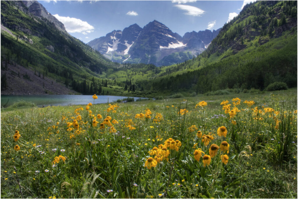 Wildflowers at Maroon Bells, photo credit Mark Byzewski on Flickr