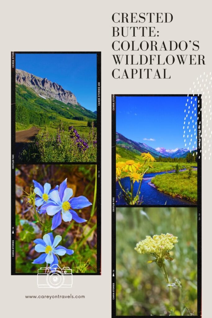 Crested Butte Wildflower Capital pin1
