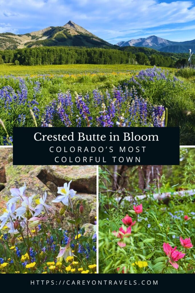 Crested Butte Wildflower Capital pin2