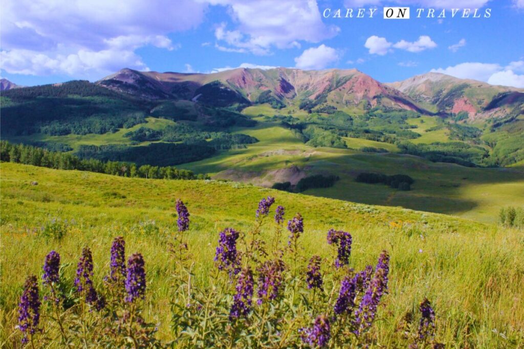 View from Teddy's Trail in Crested Butte