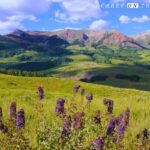 View from Teddy's Trail in Crested Butte
