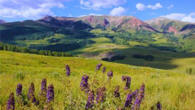 View from Teddy's Trail in Crested Butte