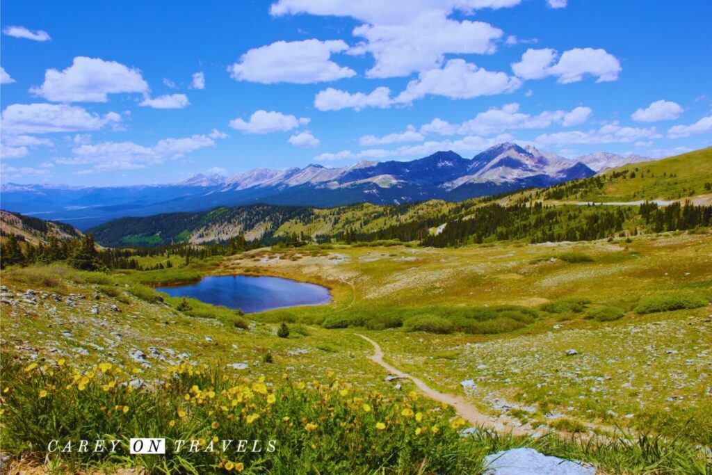 Cottonwood Pass Looking West from the Summit