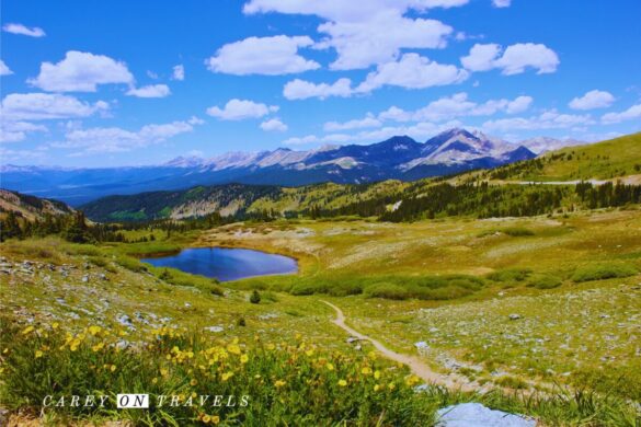 Cottonwood Pass Looking West from the Summit