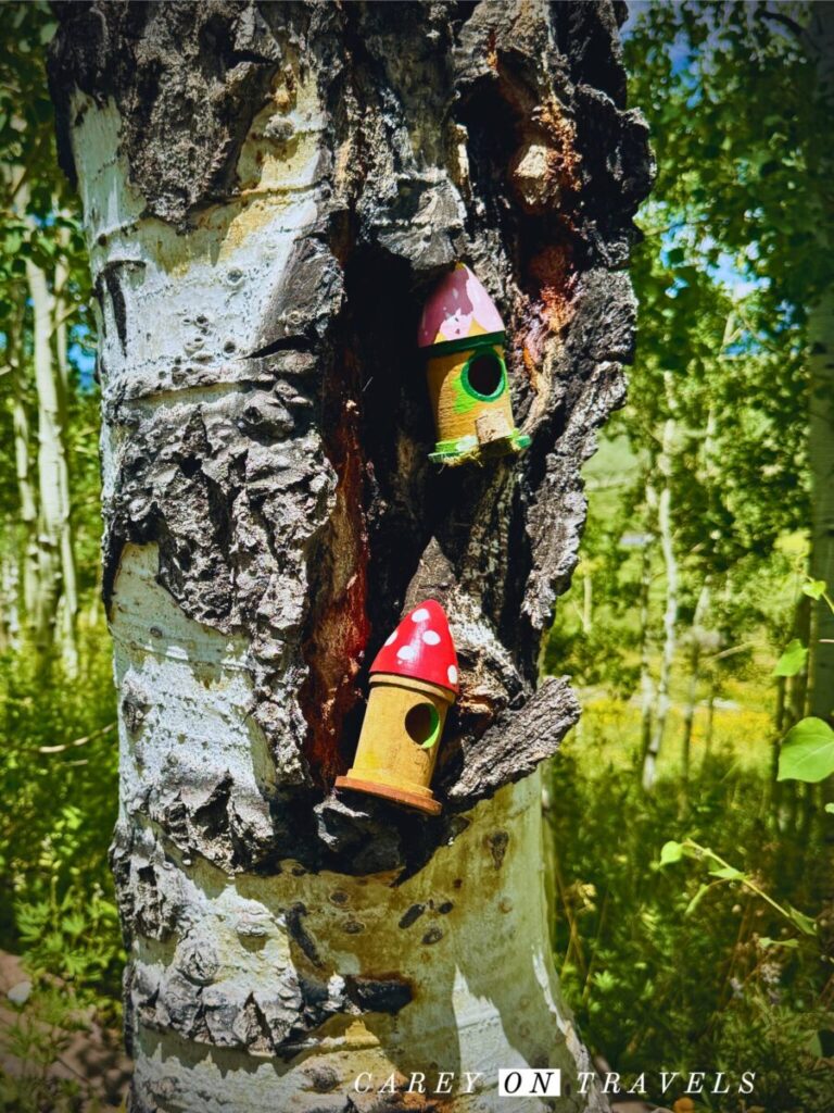 Decorated Tree on the Woods Walk in Crested Butte