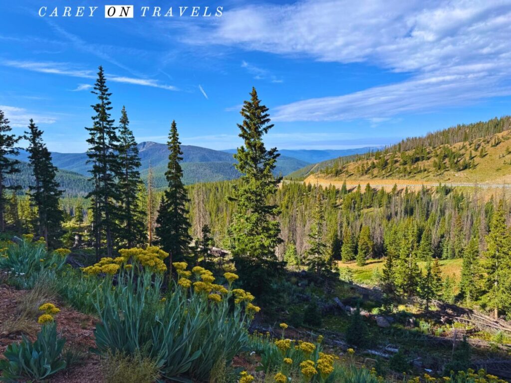 Looking West from the Monarch Pass Summit