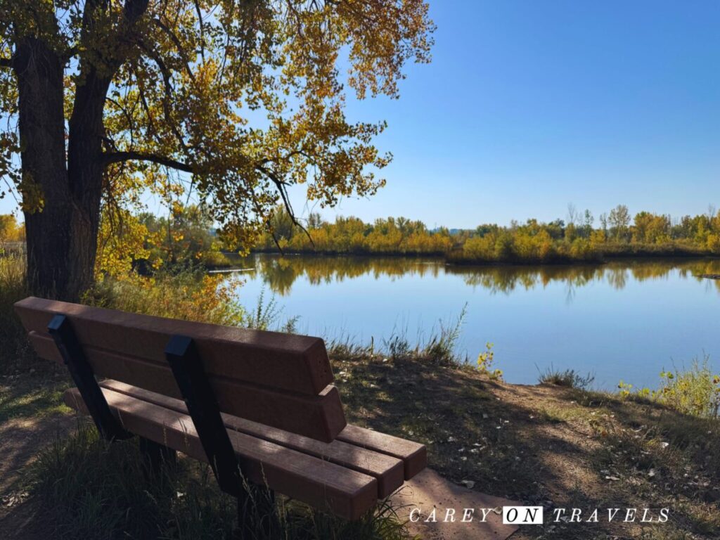 Sawmill Ponds, Fall in Boulder Colorado