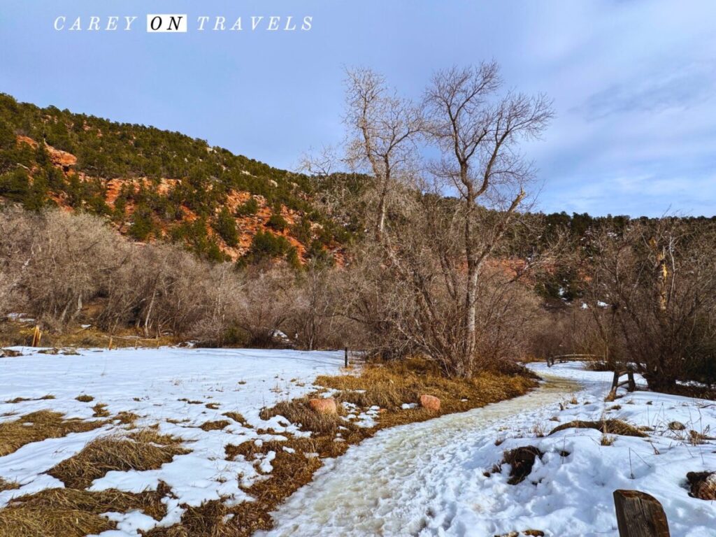 Coyote Trail at Rifle Falls State Park in Winter