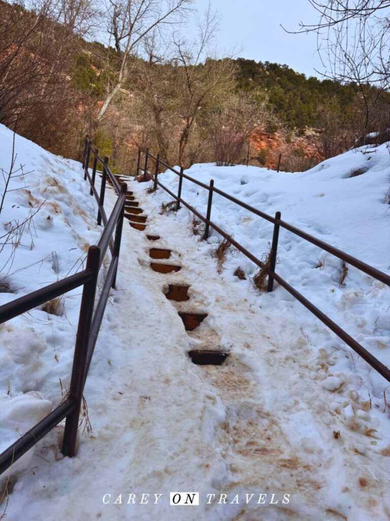 Rifle Falls State Park Coyote Trail in Winter
