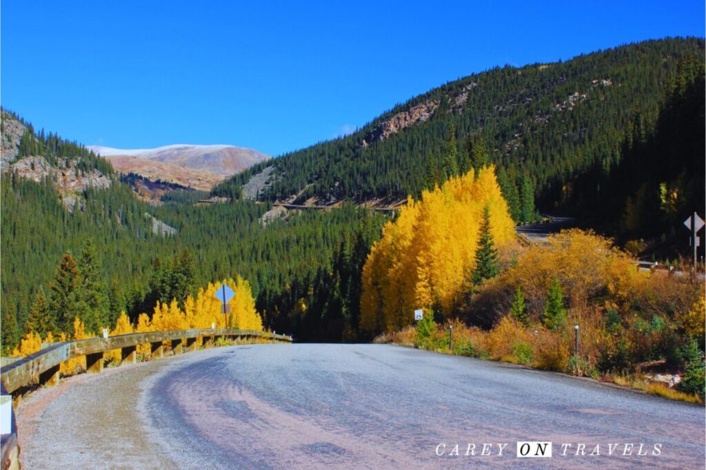 Guanella Pass Fall Colors Descent Towards Grant