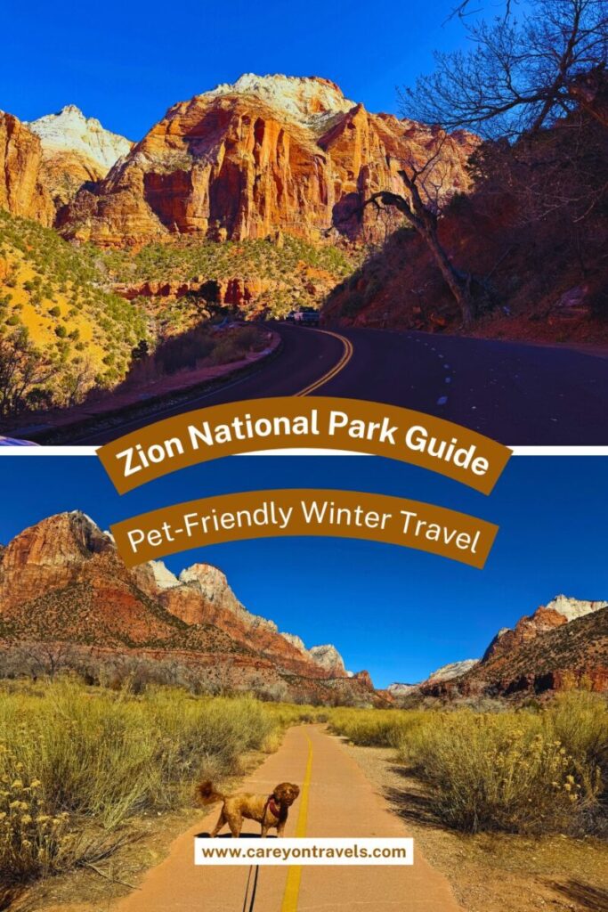 Zion National Park in Winter pin2