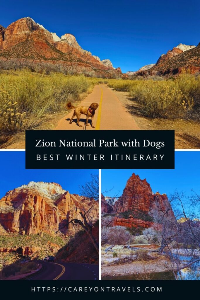 Zion National Park in Winter pin8