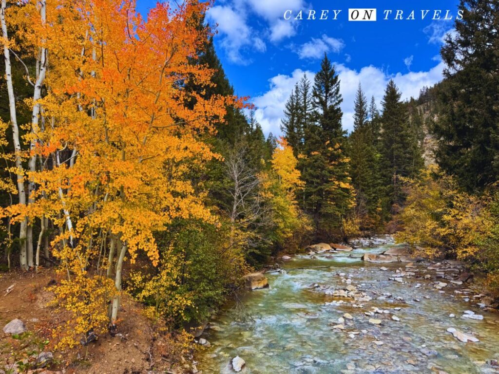 Geneva Creek Guanella Pass
