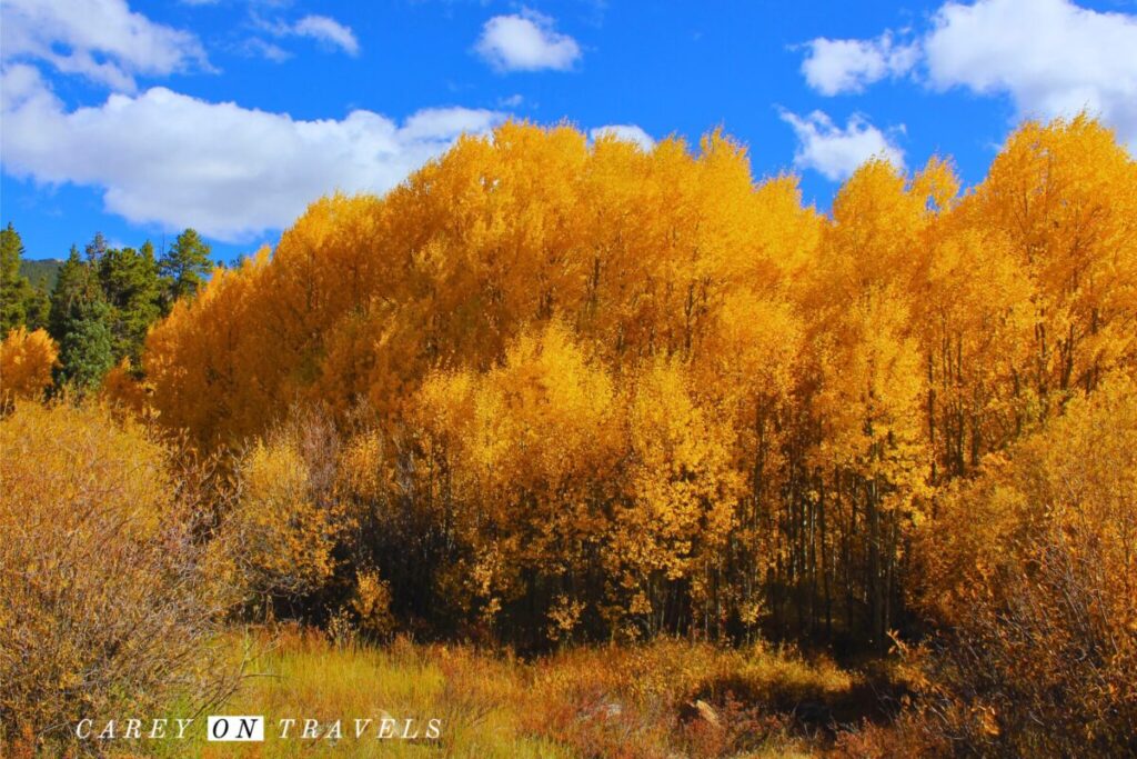 Abyss Trailhead Guanella Pass Fall Colors