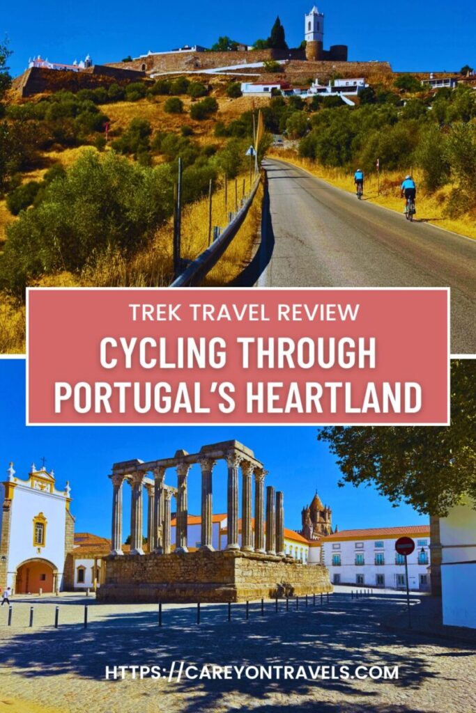 Trek Travel Review pin2