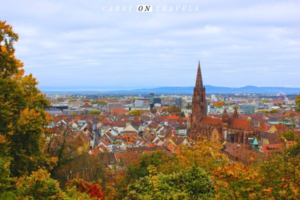 Views over Freiburg's Cathedral from the Schlossberg