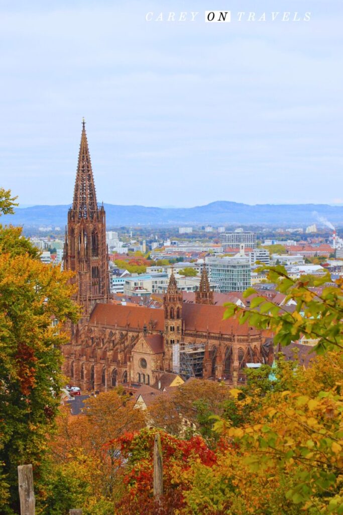 Views over Freiburg's Cathedral from the Schlossberg