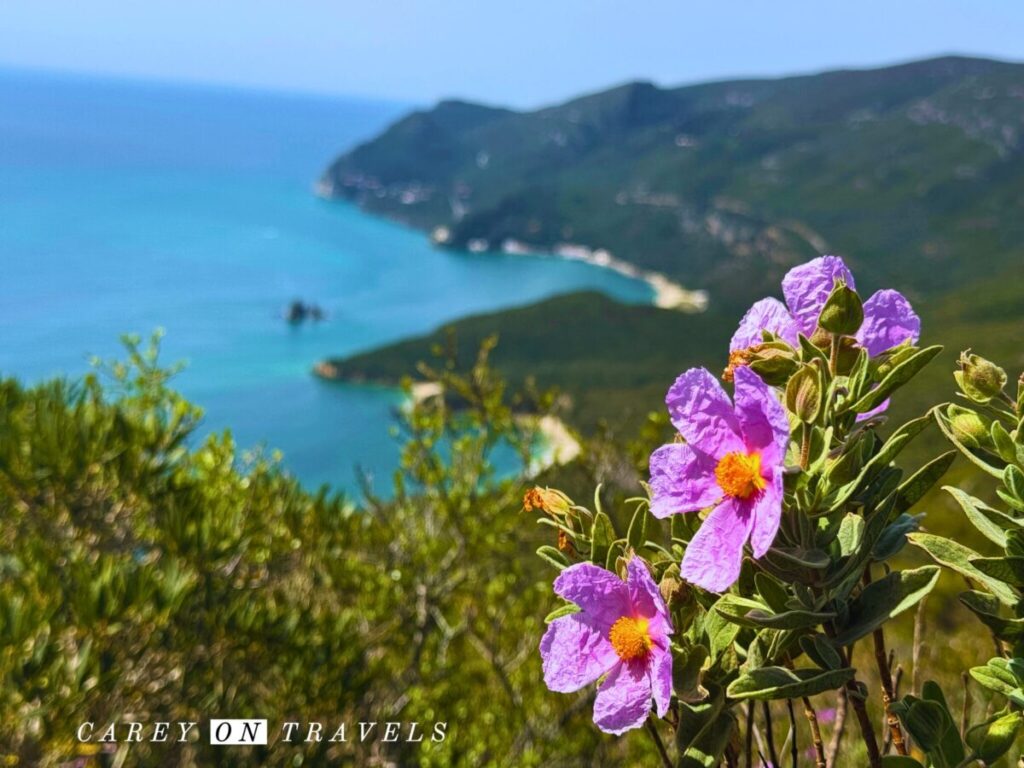 Views over Portinho da Arrabida
