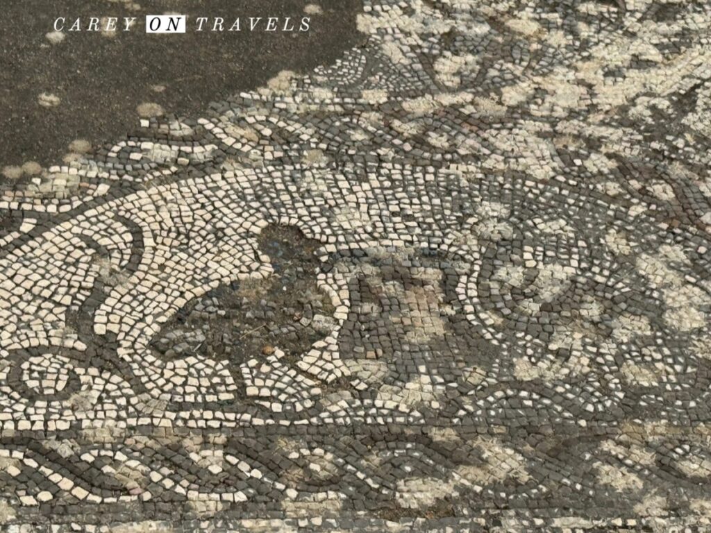 Villa Romana de Pisões Duck Mosaic