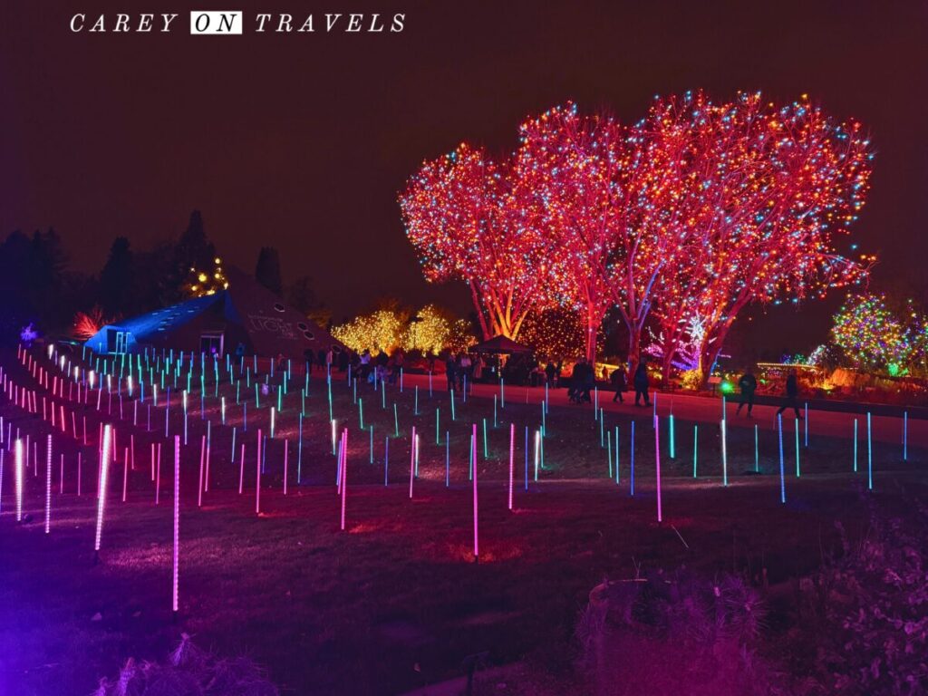 Denver Botanic Blossoms of Light