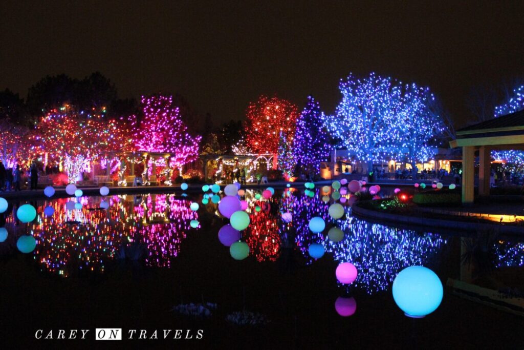 Denver Botanic Blossoms of Light