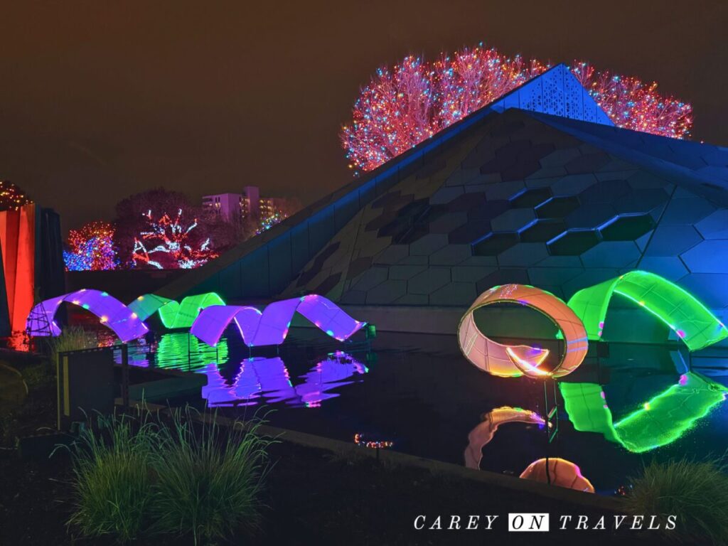 Denver Botanic Blossoms of Light