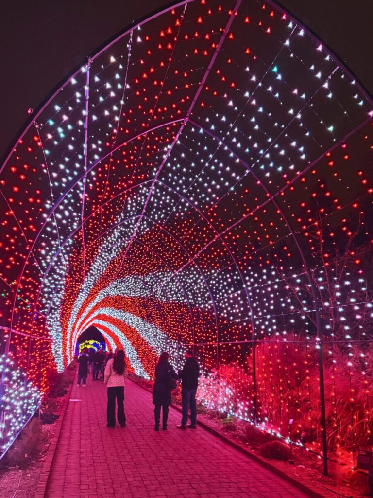 Denver Botanic Blossoms of Light