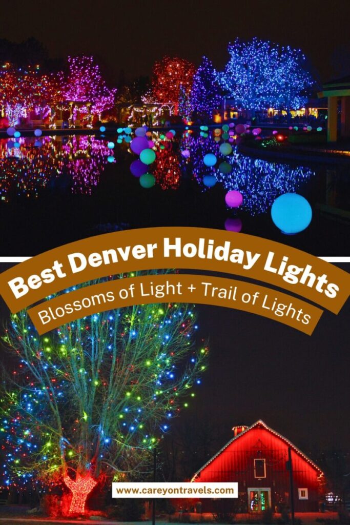 Denver Botanic Lights pin4
